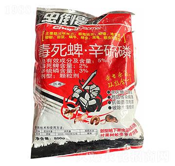 5%�����硤������-�x(ch��ng)��ù-��̩