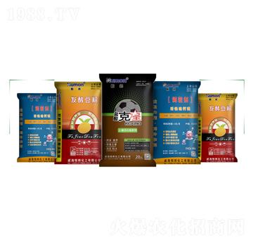 �����{�턩-����