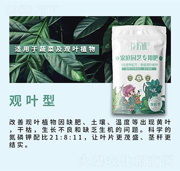 �^�~�ͼ�ͥ�@ˇ���÷�-�����-���V