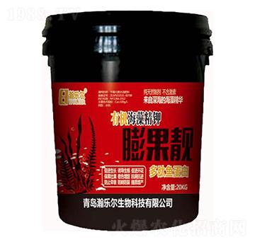 �ЙC���徫�����n-�