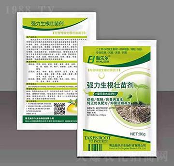 �����������焩-嫘���