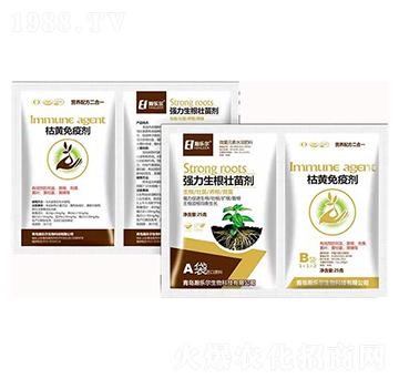 �����������焩+���S��