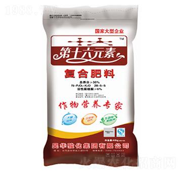 �ͺϷ���28-5-5-