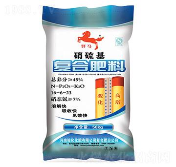 �ͺϷ���16-6-23