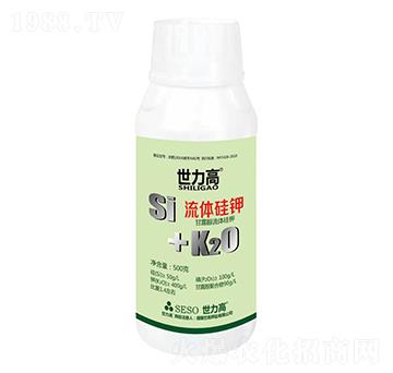 ���w���-����������