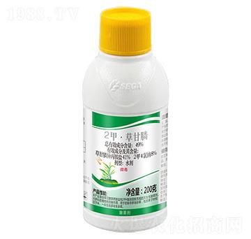 49%2�ס��ݸ��-��