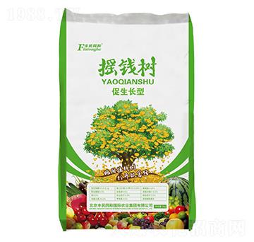搖錢樹促生長型-和潤農(nóng)業(yè)