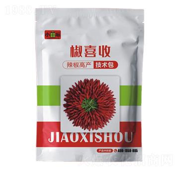 辣椒增產(chǎn)技術(shù)包-椒喜收-公牛國際