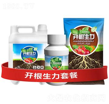 開(kāi)根生力套餐F-云大科技