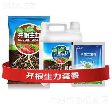 開(kāi)根生力套餐D-云大科技