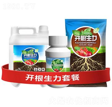 開根生力套餐B-云大科技