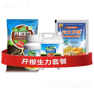 開根生力套餐A-云大科技