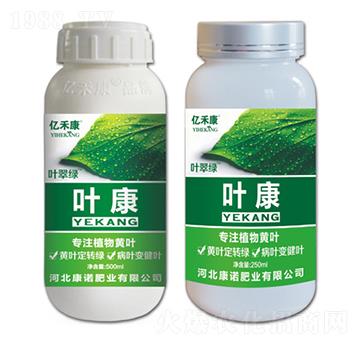 專注植物黃葉-葉康-康諾肥業(yè)