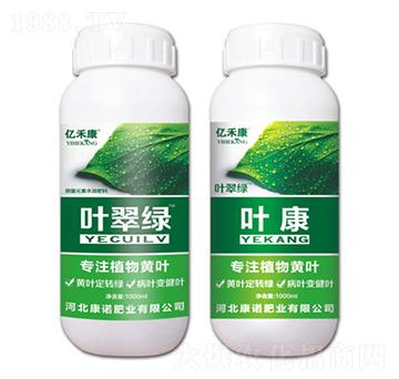 專注植物黃葉-葉翠綠+葉康-康諾肥業(yè)