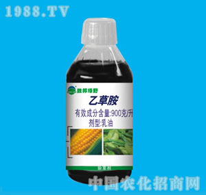 �ٰ�-90%�Ҳݰ�